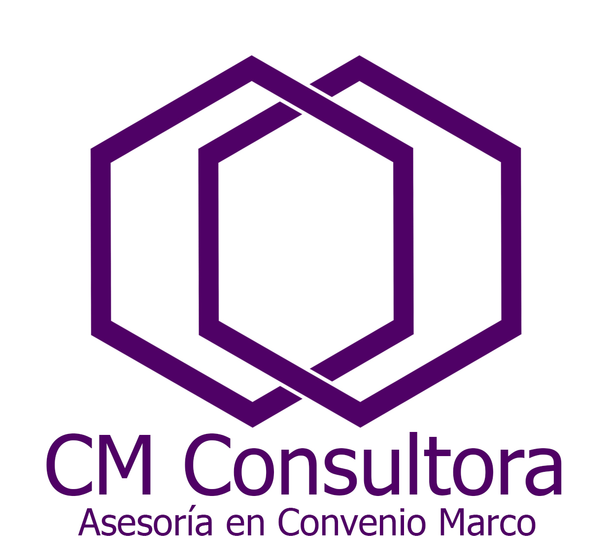 CM Consultora